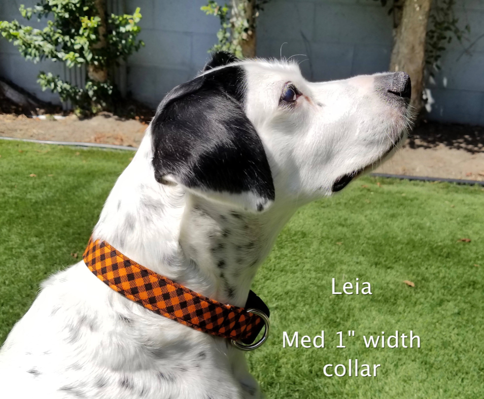 Black and Orange Gingham Collar