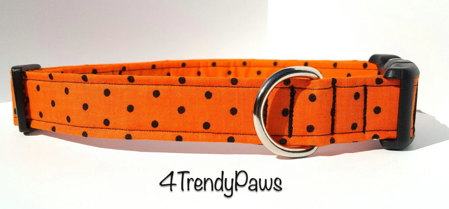 Black Dots on Orange Collar