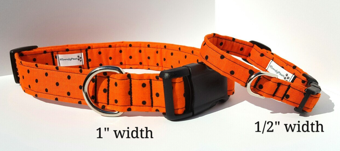 Black Dots on Orange Collar