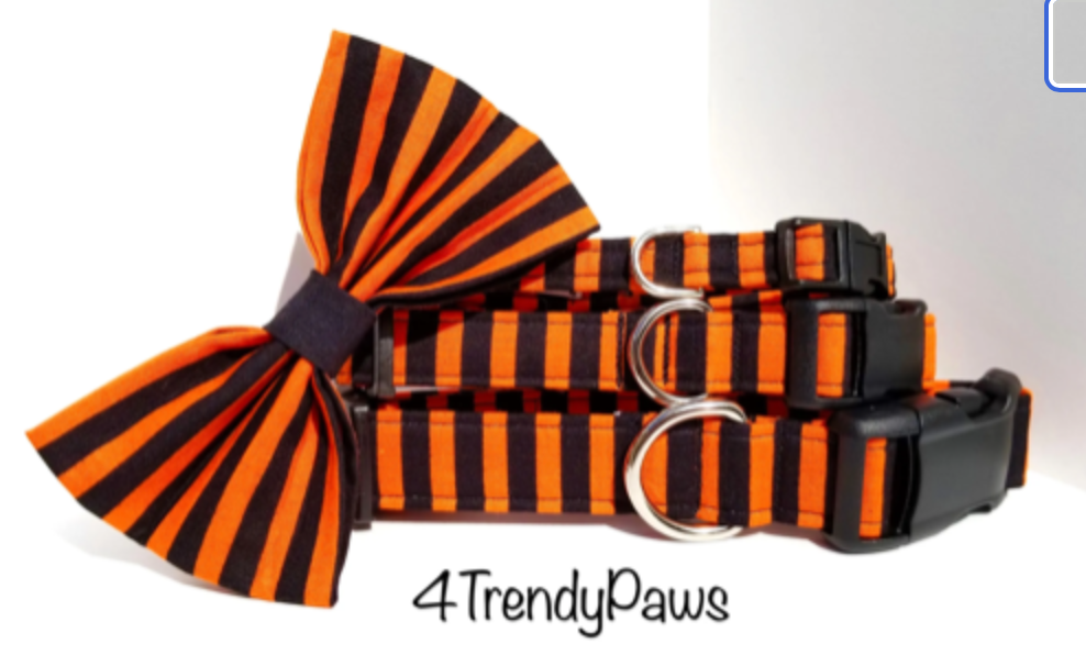 Black and Orange Stripes Collar