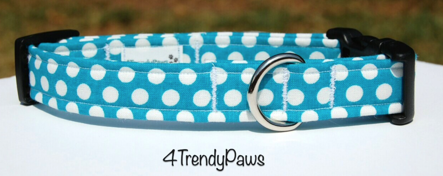 Blue Radiance w/White Polka Dots Collar