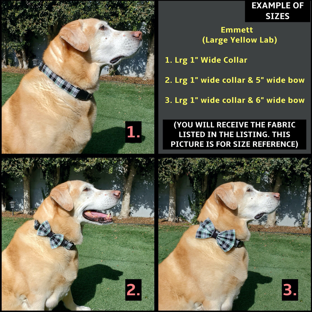 Fall Checkers Collar