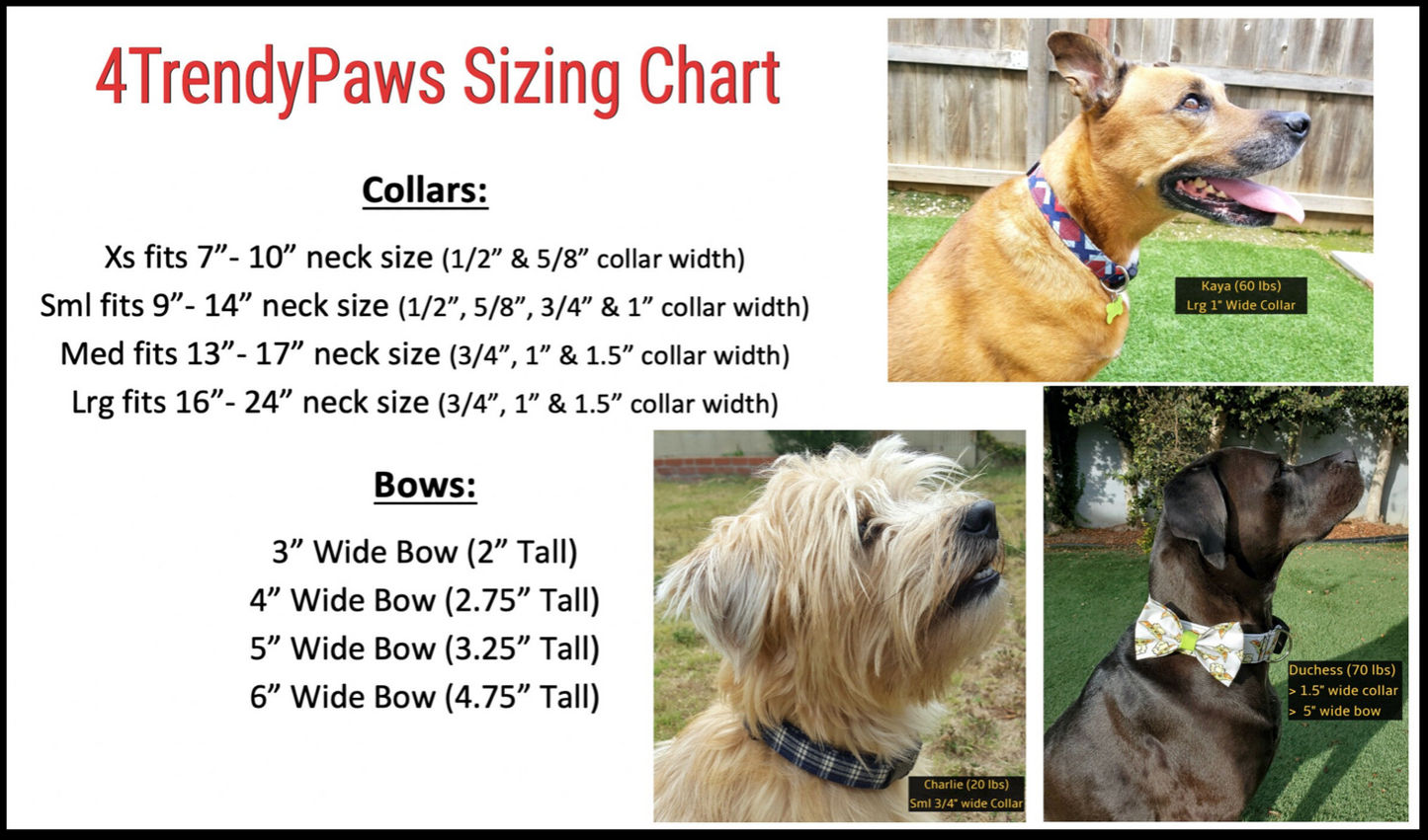 Patriotic Paws Collar