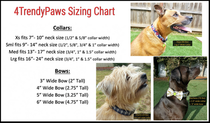 Patriotic Picnic Collar