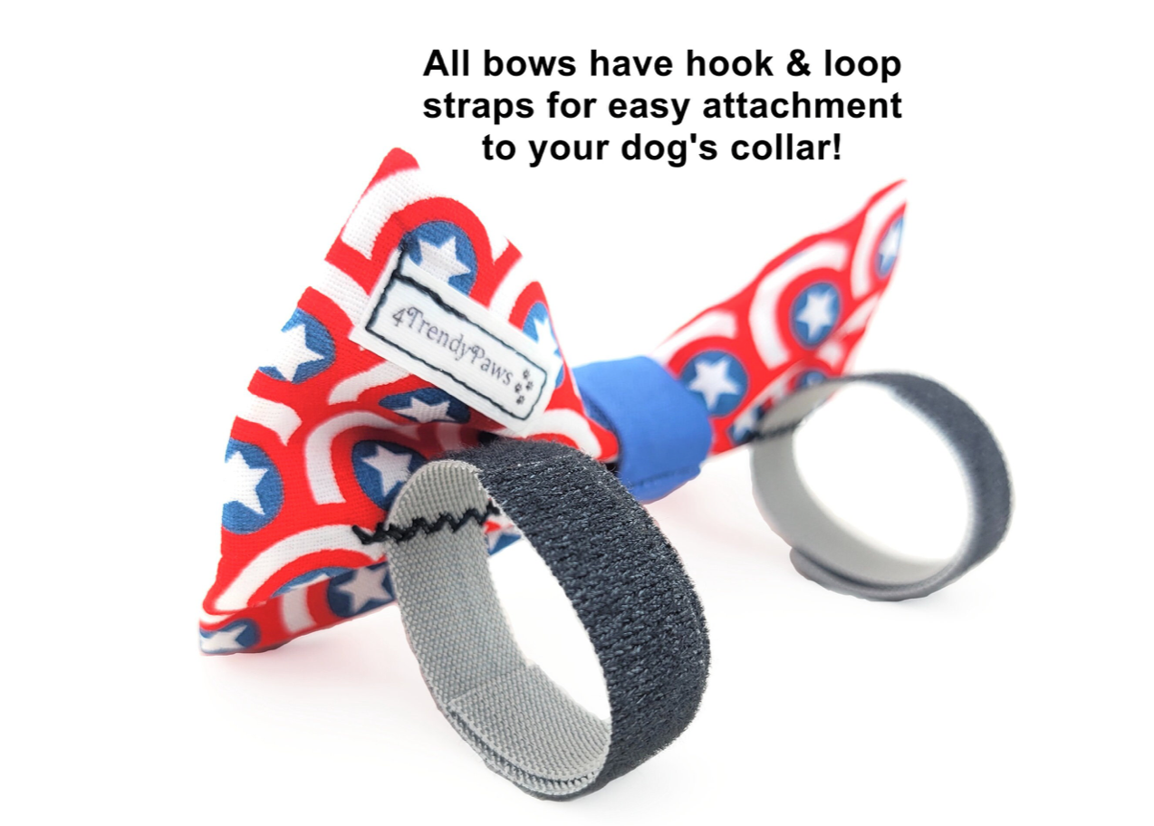 Captain America Collar