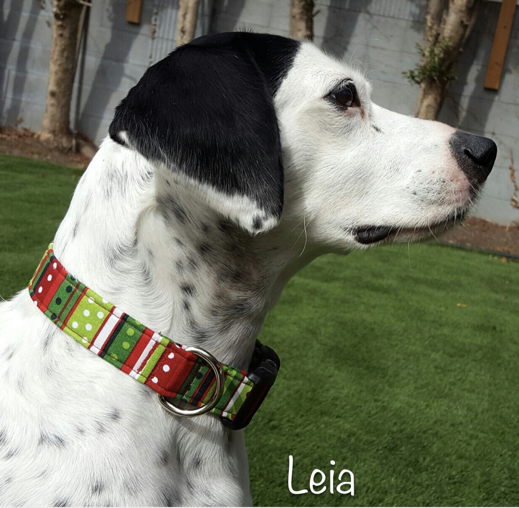 Christmas Stripes and Dots Collar