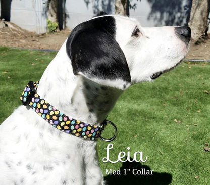 Easter Eggs Collar