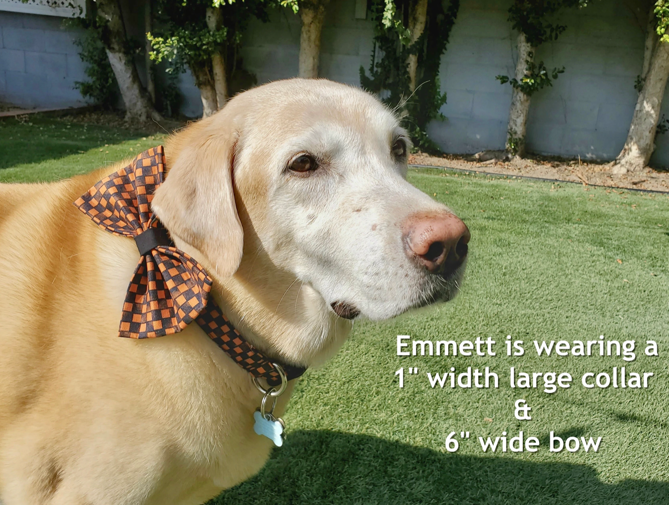 Fall Checkers Collar