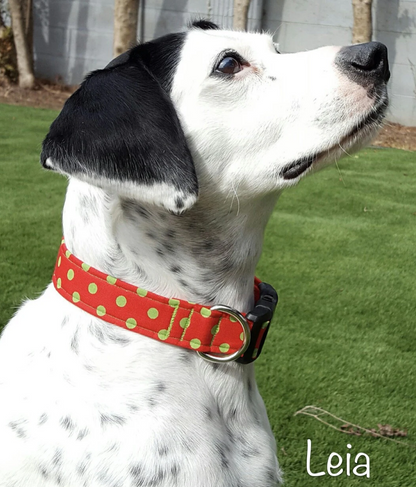 Green Polka Dots on Red Collar