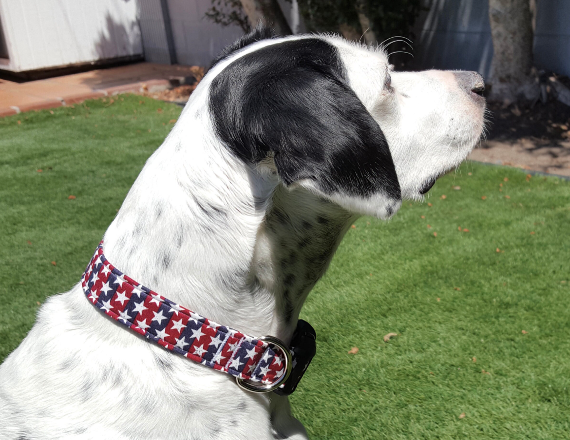 Independence Stars and Stripes Collar