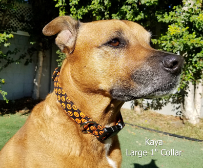 Jack-o-Lanterns Collar