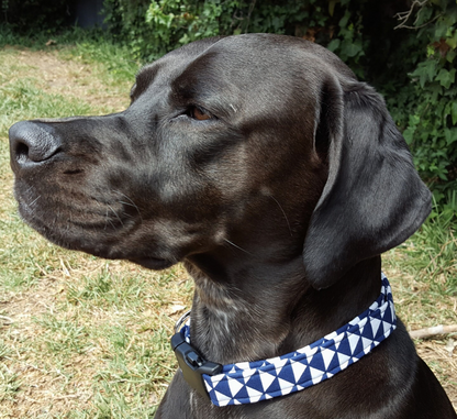 Navy Blue Illusions Collar