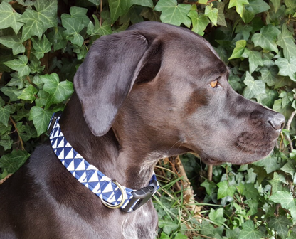 Navy Blue Illusions Collar