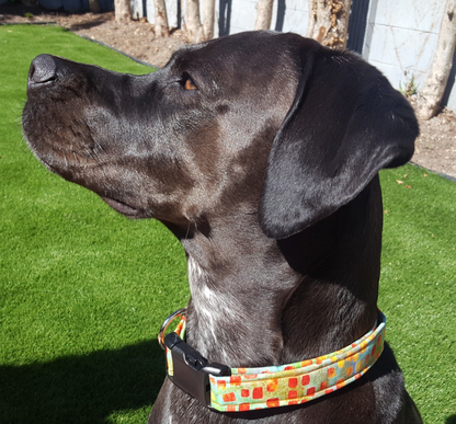 Orange Squares Collar