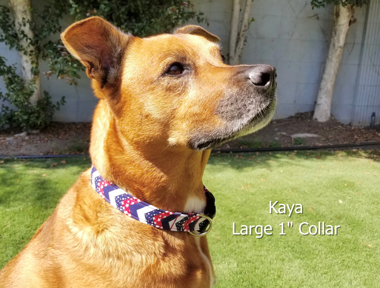 Patriotic Chevron Collar