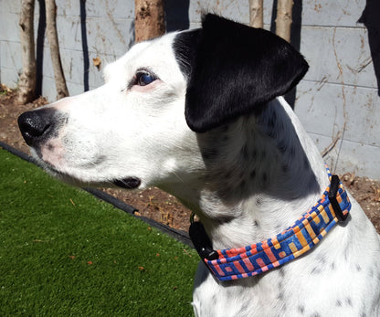 Sunset Collar, Orange Collar, Blue Collar, Boy Dog Collar, Girl Dog Collar, Small Dog Collar, Large Dog Collar, Cat Collar