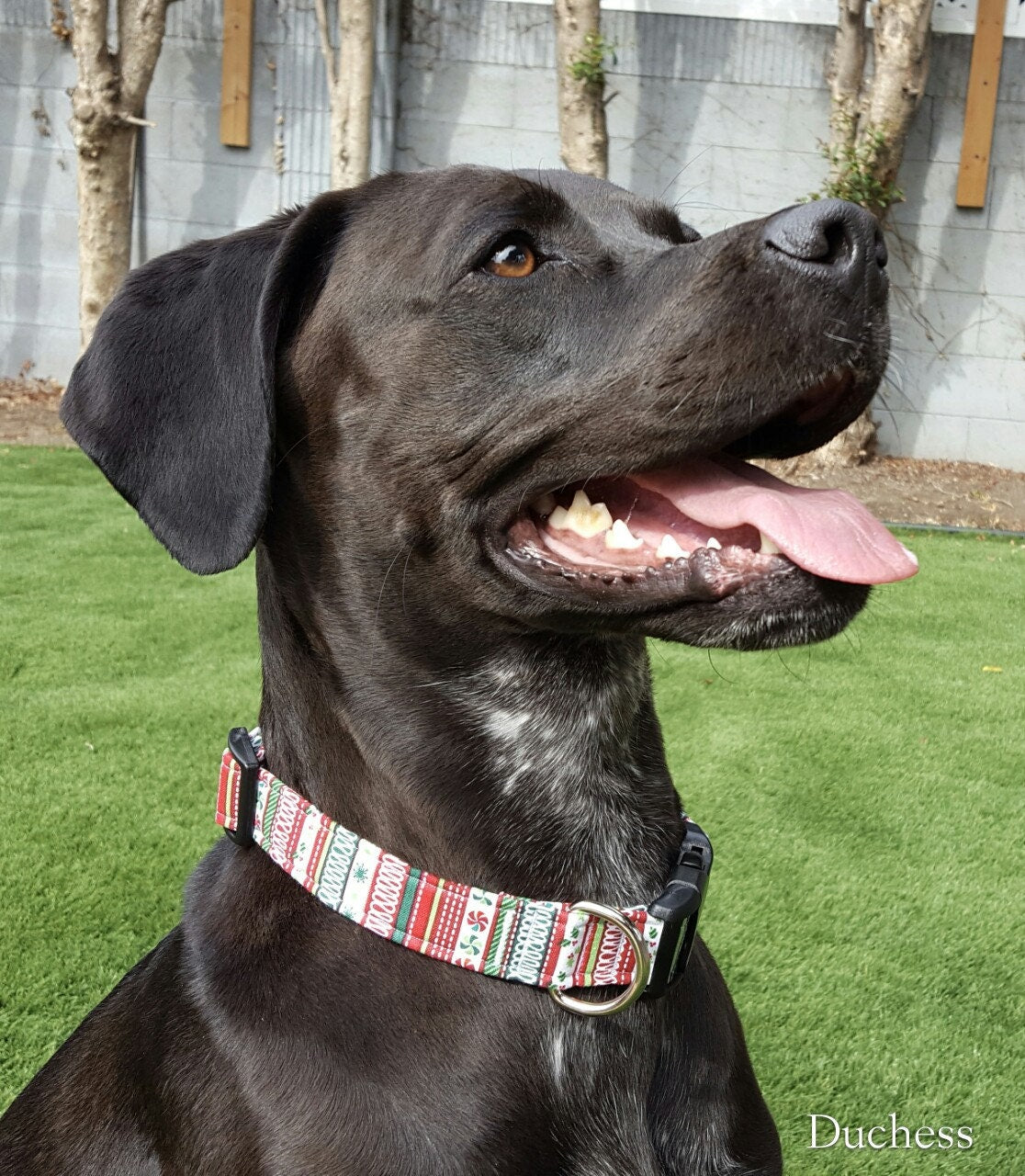 Ugly Sweater Collar, Christmas Collar, Holiday Collar, Red Green White, Boy Dog Collar, Girl Dog Collar, Small Dog Collar, Cat Collar