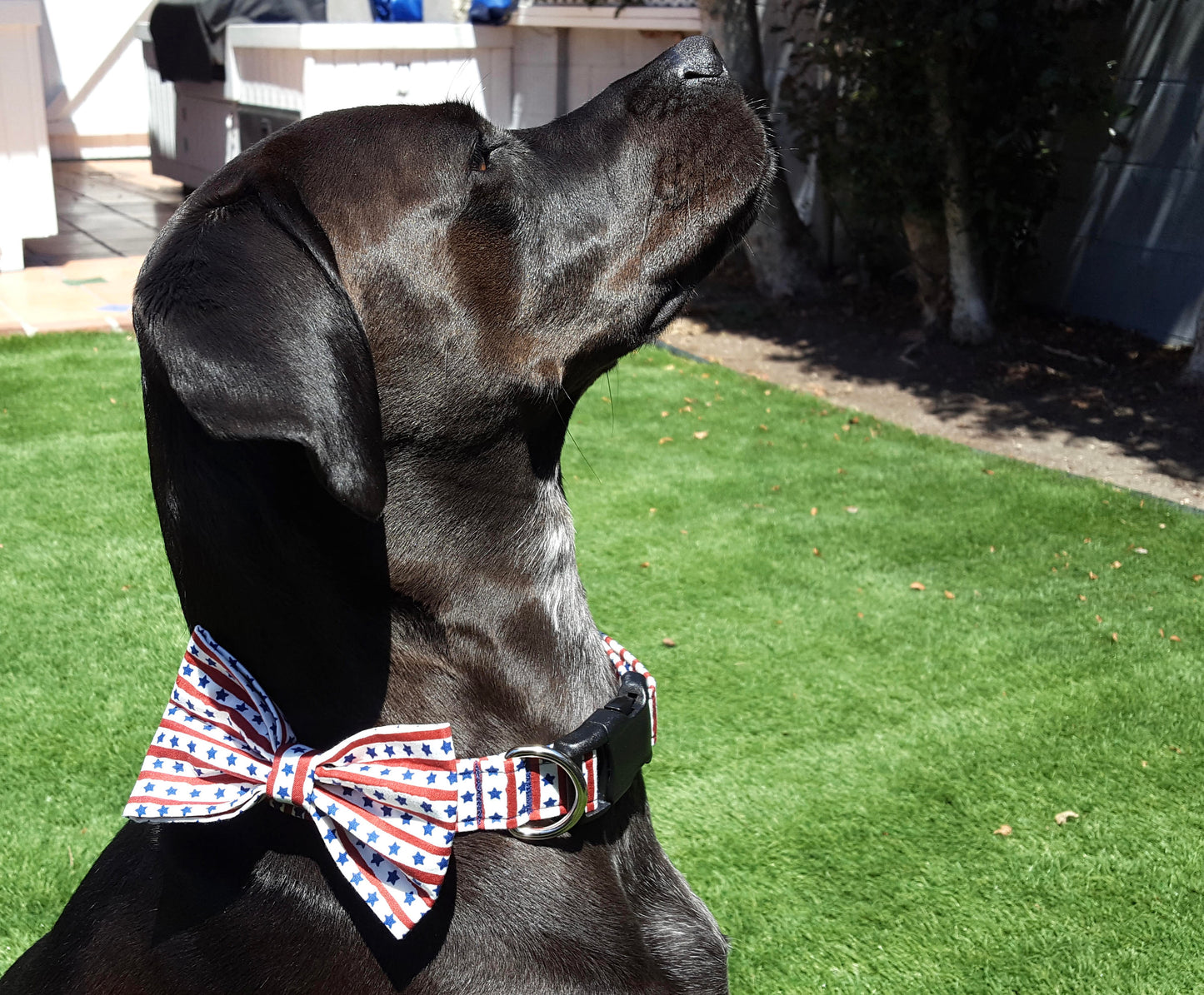 Stars and Stripes Dog Bow, Patriotic Dog Bow, 4th of July Dog Bow, Boy Dog Bow Tie, Girl Dog Bow tie, Small Dog Bow Tie, Big Dog Bow tie