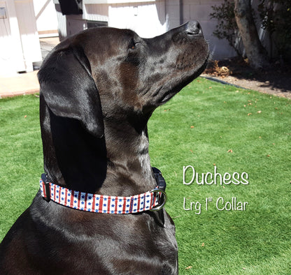 Stars and Stripes Collar, Patriotic Collar, 4th of July Collar, Boy Dog Collar, Girl Dog Collar, Small Dog Collar, Big Dog Collar,Dog Collar