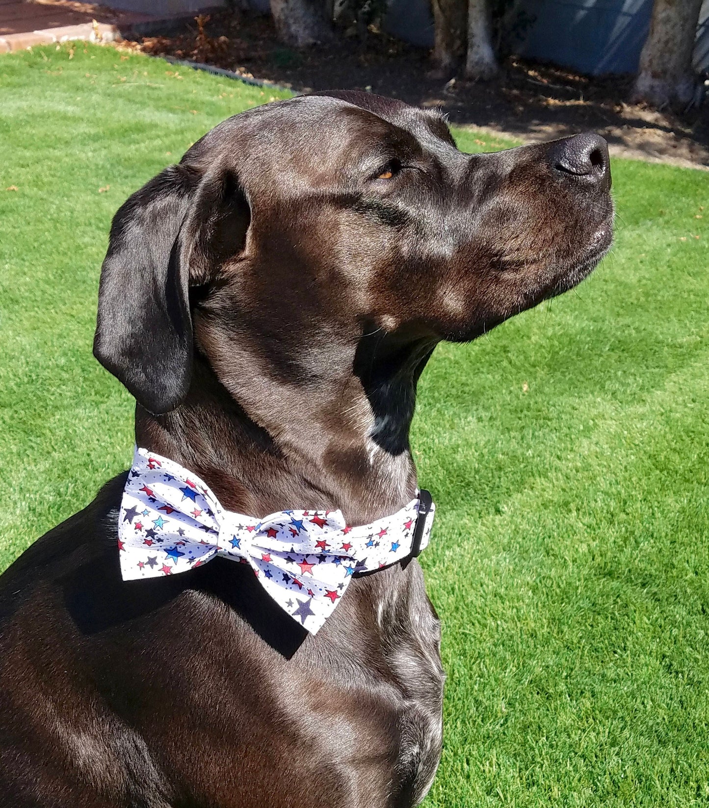 White Patriotic Stars Bow, 4th of July Bow, Red White & Blue Bow, Boy Dog Bow, Girl Dog Bow, Small Dog Bow, Big Dog Bow, Dog Bow Tie