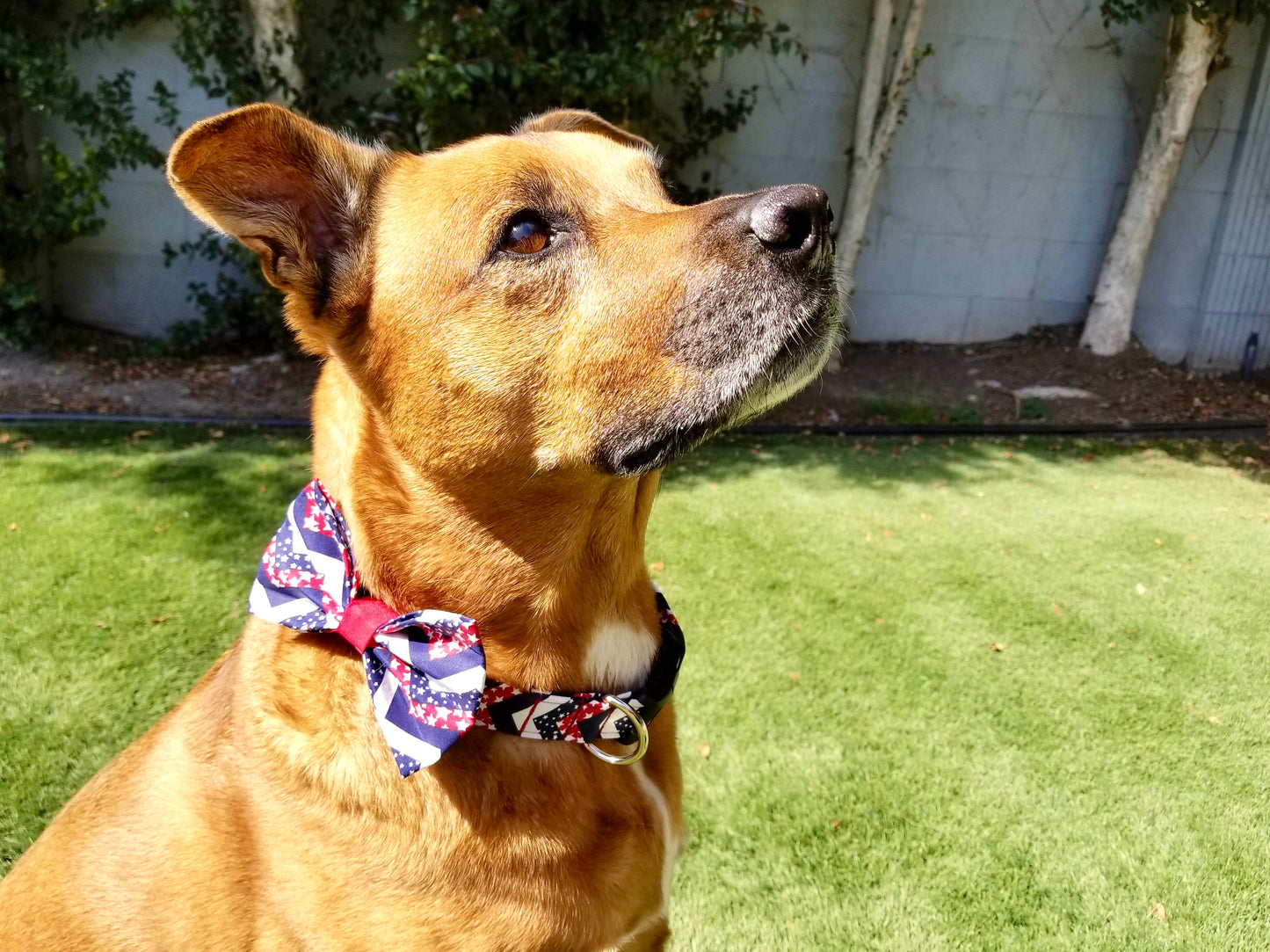 Patriotic Chevron Bow