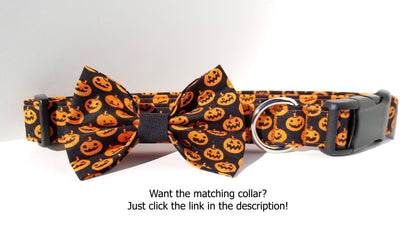 Jack-o-lanterns Dog Bow