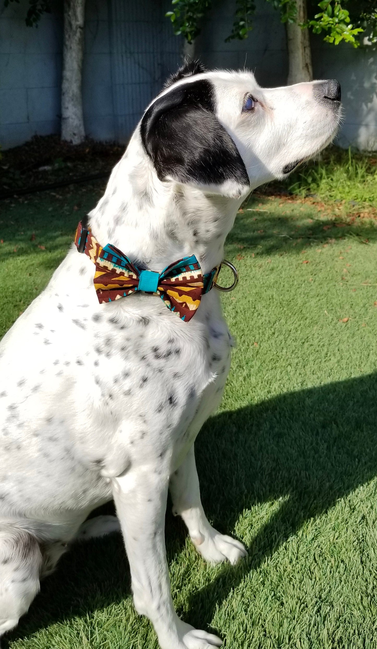 Teal and Brown Aztec Bow, Aztec Dog Bowtie, Western Dog Bow, Southwestern Dog Bow, Boy Dog Bowtie, Girl dog bow, Small Dog Bow, Big Dog Bow