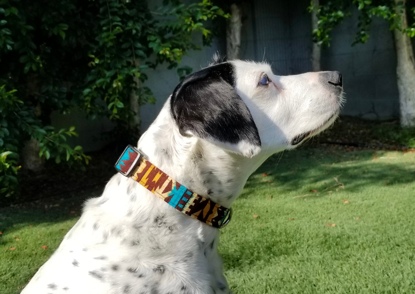 Teal and Brown Aztec Collar, Aztec Dog Collar, Western Dog Collar, Southwest Dog Collar, Boy Dog Collar, Girl dog Collar, Small Dog, Big Dog