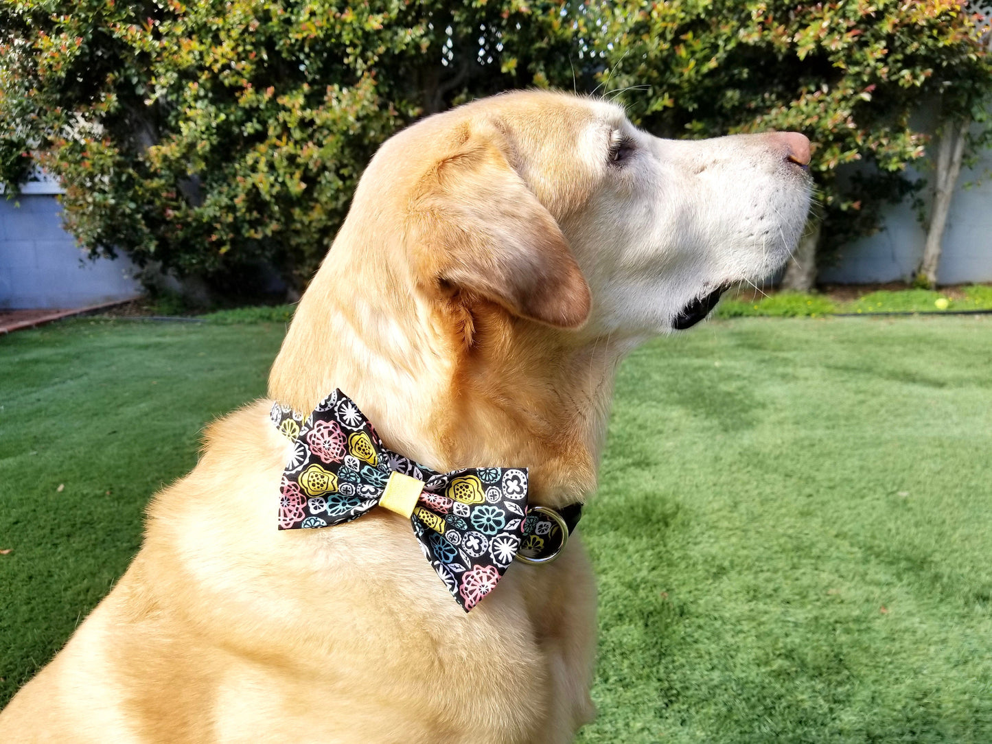 Retro Flowers Bow, Retro Dog Bow, Floral Dog Bow, Flowers Dog Bow, Girl Dog Bow, Boy Dog Bow Tie, Bow Tie