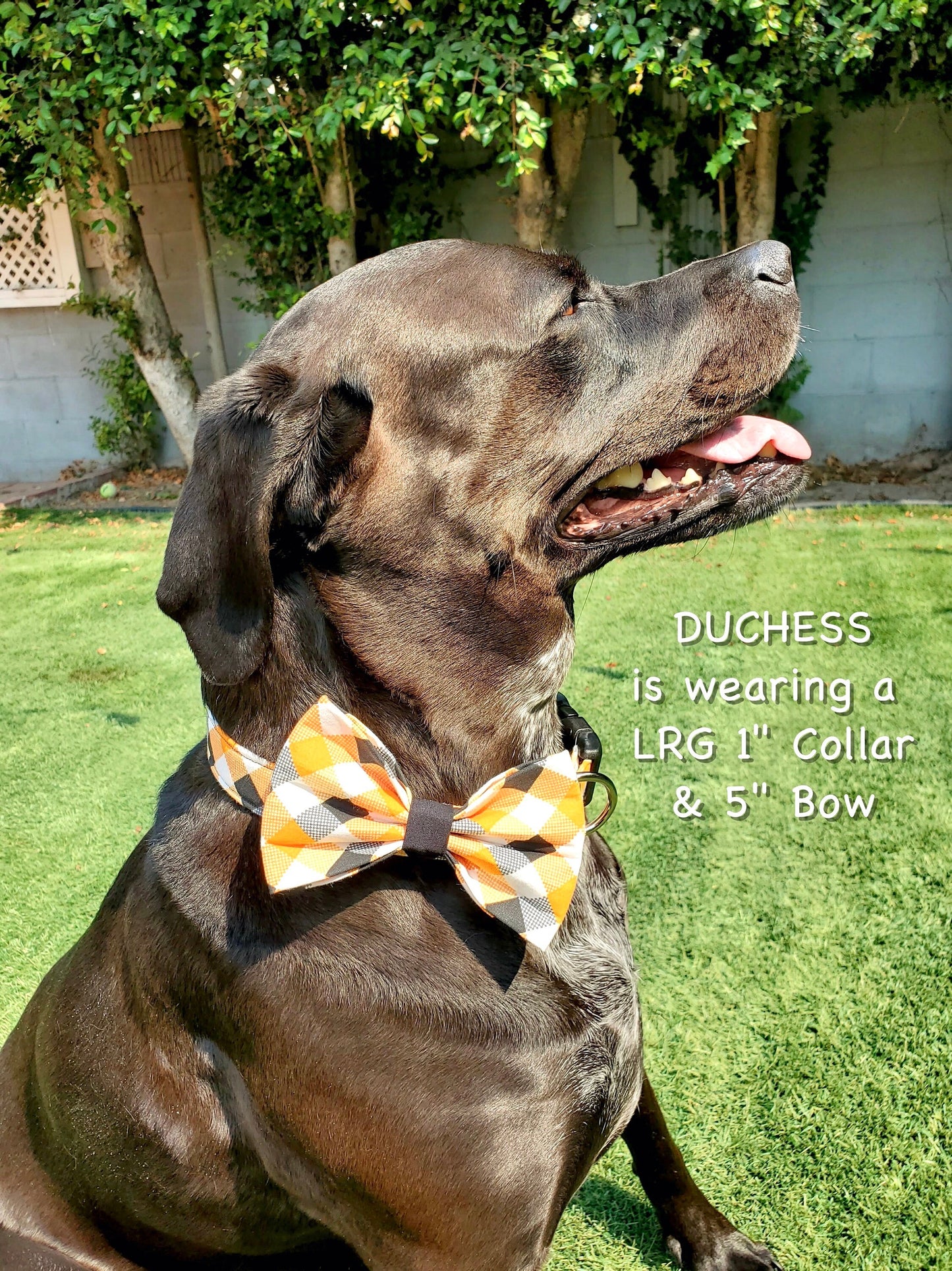 Fall Gingham Dog Bow